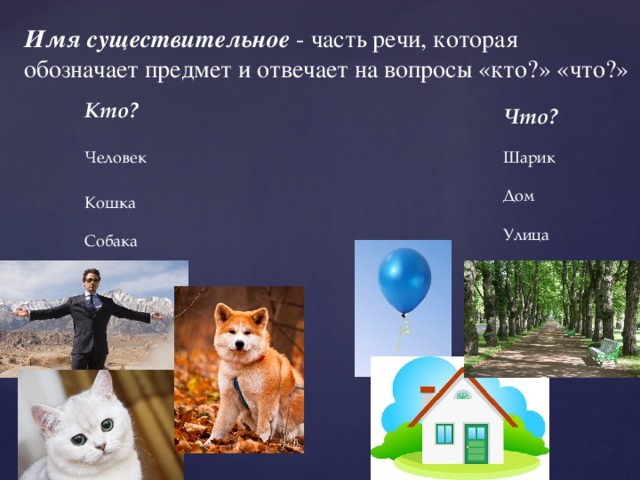 Имя существительное - часть речи, которая обозначает предмет и отвечает на вопросы «кто?» «что?» Кто?  Человек Кошка Собака Что? Шарик Дом Улица 
