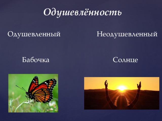 Одушевлённость  Одушевленный Неодушевленный  Бабочка Солнце 
