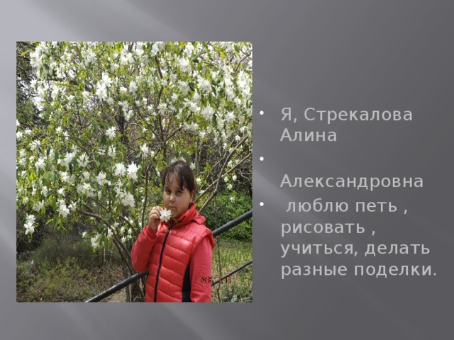 Я, Стрекалова Алина  Александровна  люблю петь , рисовать , учиться, делать разные поделки. 