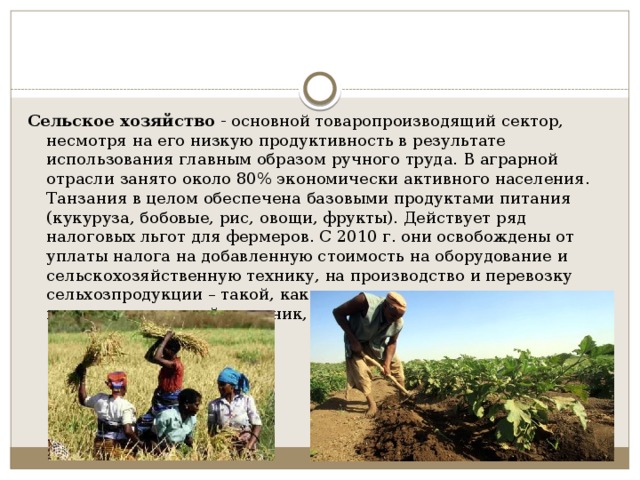 Сельское хозяйство  - основной товаропроизводящий сектор, несмотря на его низкую продуктивность в результате использования главным образом ручного труда. В аграрной отрасли занято около 80% экономически активного населения. Танзания в целом обеспечена базовыми продуктами питания (кукуруза, бобовые, рис, овощи, фрукты). Действует ряд налоговых льгот для фермеров. С 2010 г. они освобождены от уплаты налога на добавленную стоимость на оборудование и сельскохозяйственную технику, на производство и перевозку сельхозпродукции – такой, как растительное масло, молочные продукты, сахарный тростник, сизаль и чай. 