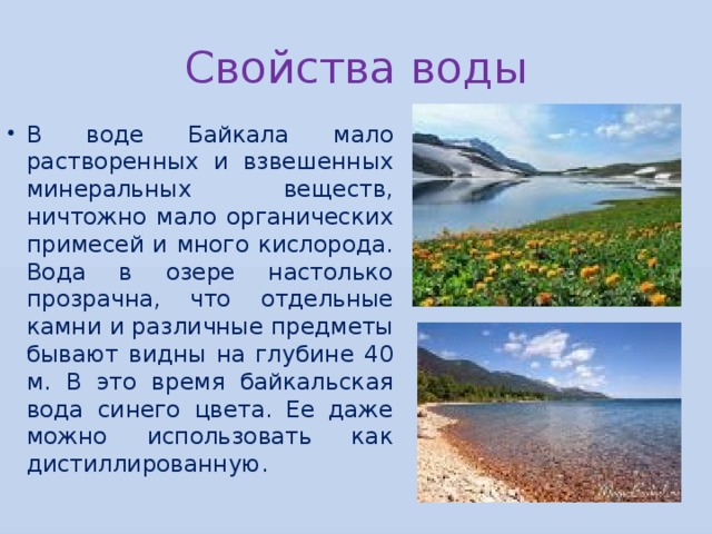 Свойства воды В воде Байкала мало растворенных и взвешенных минеральных веществ, ничтожно мало органических примесей и много кислорода. Вода в озере настолько прозрачна, что отдельные камни и различные предметы бывают видны на глубине 40 м. В это время байкальская вода синего цвета. Ее даже можно использовать как дистиллированную. 