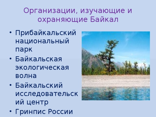 Организации, изучающие и охраняющие Байкал Прибайкальский национальный парк Байкальская экологическая волна Байкальский исследовательский центр Гринпис России 