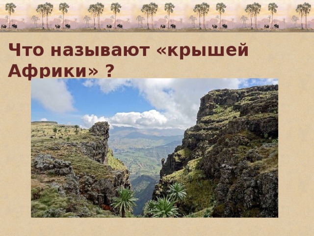 Что называют «крышей Африки» ? 