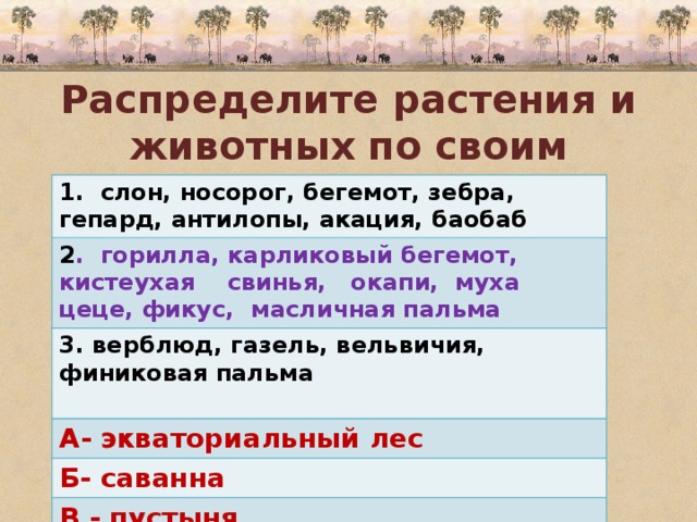 Распределите растения и животных по своим природным зонам. 1. слон, носорог, бегемот, зебра, гепард, антилопы, акация, баобаб 2 . горилла, карликовый бегемот, кистеухая свинья, окапи, муха цеце, фикус, масличная пальма 3. верблюд, газель, вельвичия, финиковая пальма  А- экваториальный лес Б- саванна В - пустыня 