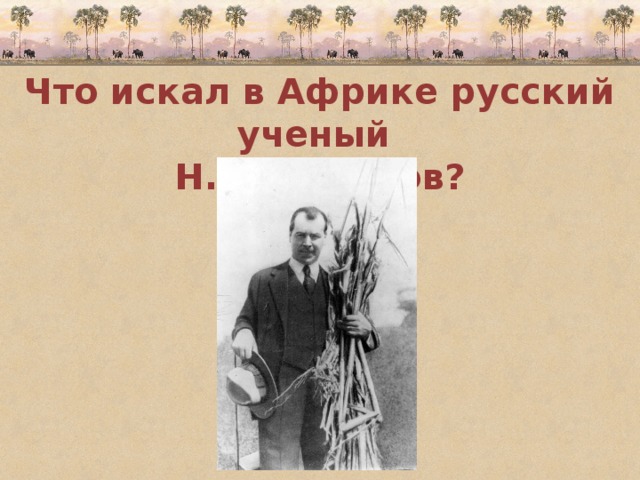 Что искал в Африке русский ученый Н.И. Вавилов? 