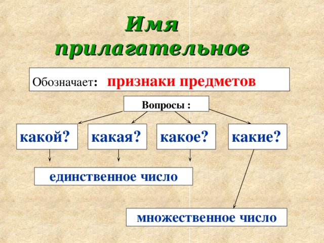 Имя  прилагательное Обозначает :  признаки предметов  Вопросы : какой? какая? какое? какие? единственное число  множественное число  