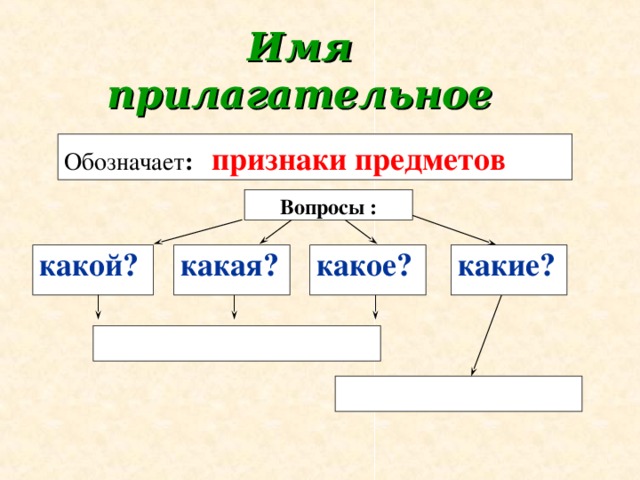 Имя  прилагательное Обозначает :  признаки предметов  Вопросы : какой? какая? какое? какие?     