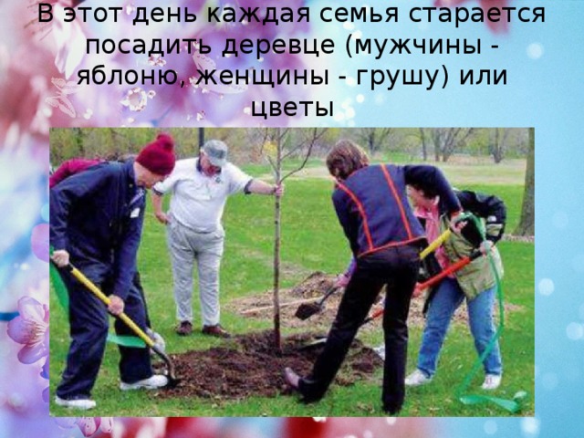 В этот день каждая семья старается посадить деревце (мужчины - яблоню, женщины - грушу) или цветы 