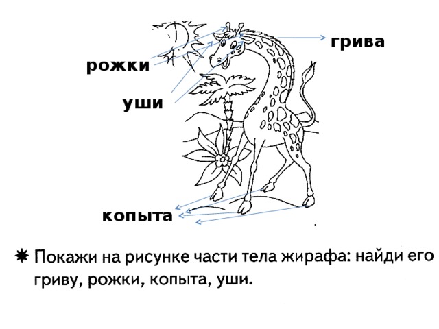 грива рожки уши копыта 