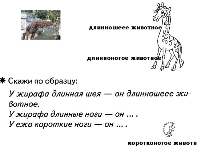 длинношеее животное длинноногое животное коротконогое животное 
