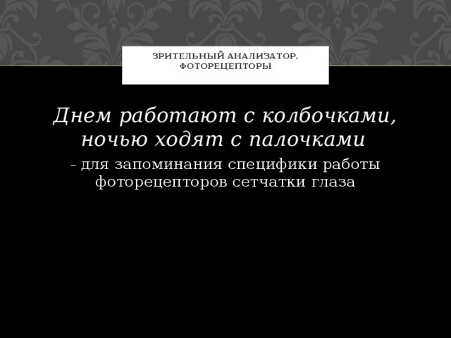 Зрительный анализатор. Фоторецепторы   Днем работают с колбочками, ночью ходят с палочками   – для запоминания специфики работы фоторецепторов сетчатки глаза 