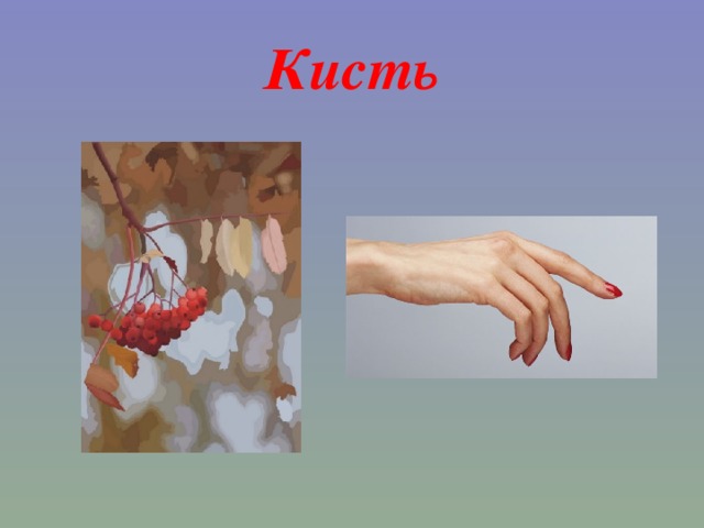Кисть 