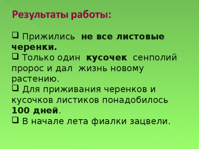 Прижились не все листовые черенки.  Только один кусочек сенполий пророс и дал жизнь новому растению.  Для приживания черенков и кусочков листиков понадобилось 100 дней .  В начале лета фиалки зацвели.