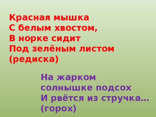 Красная мышка С белым хвостом, В норке сидит Под зелёным листом (редиска) На жарком солнышке подсох И рвётся из стручка…(горох) 