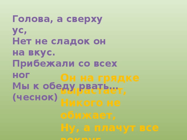 Голова, а сверху ус, Нет не сладок он на вкус. Прибежали со всех ног Мы к обеду рвать…(чеснок) Он на грядке вырастает, Никого не обижает, Ну, а плачут все вокруг, Потому что чистят…(лук) 