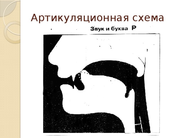 Артикуляционная схема 
