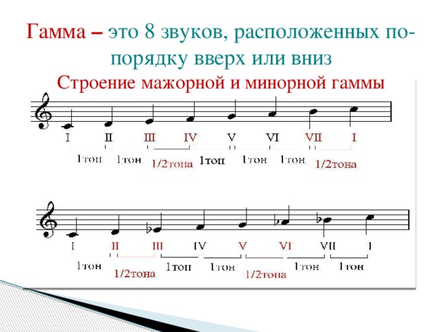  Гамма – это 8 звуков, расположенных по-порядку вверх или вниз Строение мажорной и минорной гаммы 