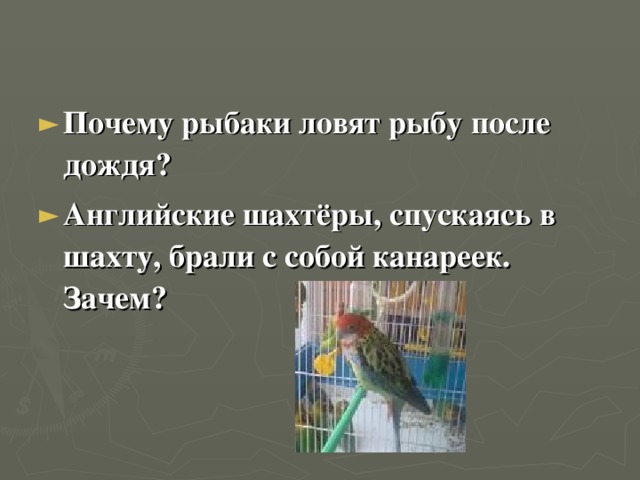  Почему рыбаки ловят рыбу после дождя? Английские шахтёры, спускаясь в шахту, брали с собой канареек. Зачем?  
