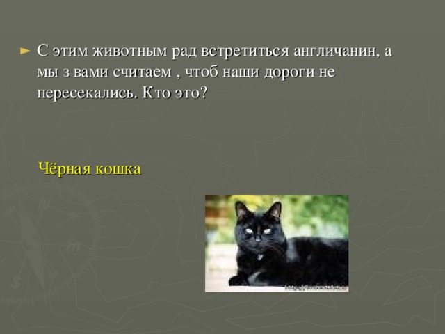 С этим животным рад встретиться англичанин, а мы з вами считаем , чтоб наши дороги не пересекались. Кто это?   Чёрная кошка 