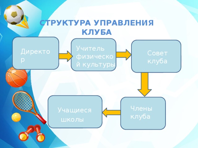 Структура школьного спортивного клуба схема