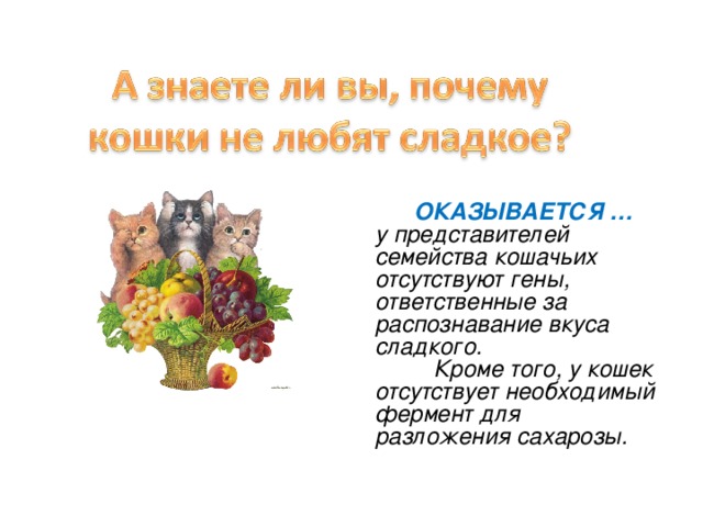  ОКАЗЫВАЕТСЯ … у представителей семейства кошачьих отсутствуют гены, ответственные за распознавание вкуса сладкого.   Кроме того, у кошек отсутствует необходимый фермент для разложения сахарозы. 