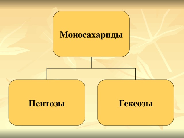 Моносахариды Пентозы Гексозы 