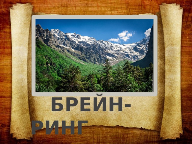   БРЕЙН-РИНГ 
