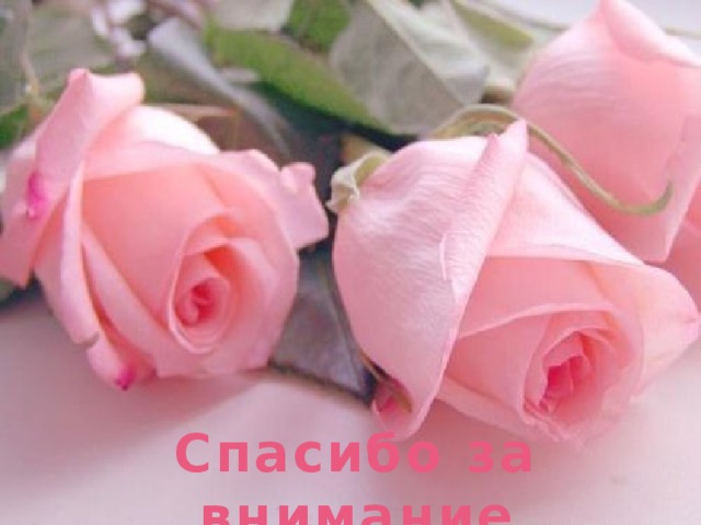 Спасибо за внимание 