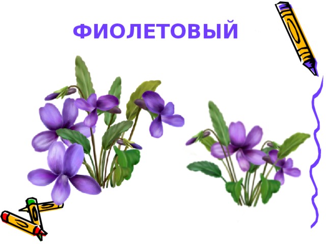 ФИОЛЕТОВЫЙ 
