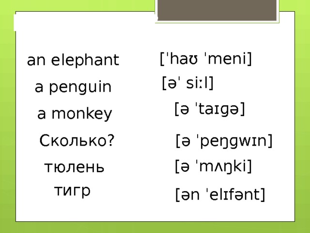 Проверим? [ˈhaʊ ˈmeni] an elephant [əˈ siːl] a penguin [ə ˈtaɪɡə] a monkey Сколько? [ə ˈpeŋɡwɪn] [ə ˈmʌŋki] тюлень тигр [ən ˈelɪfənt] 