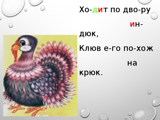 Хо- д и т по дво-ру  и н-дюк, Клюв е-го по-хож  на крюк. 