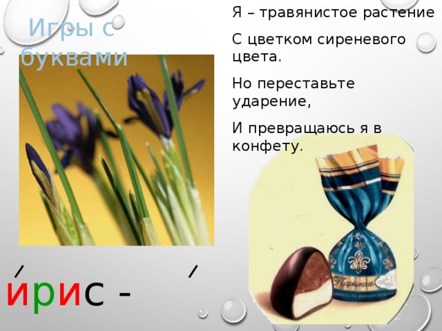 Я – травянистое растение С цветком сиреневого цвета. Но переставьте ударение, И превращаюсь я в конфету.  Игры с буквами и р и с - и р и с 