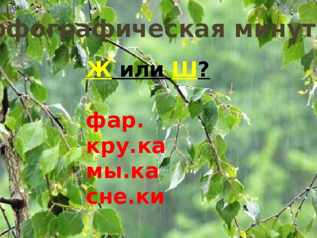 Орфографическая минутка Ж или Ш ?  фар. кру.ка мы.ка сне.ки 