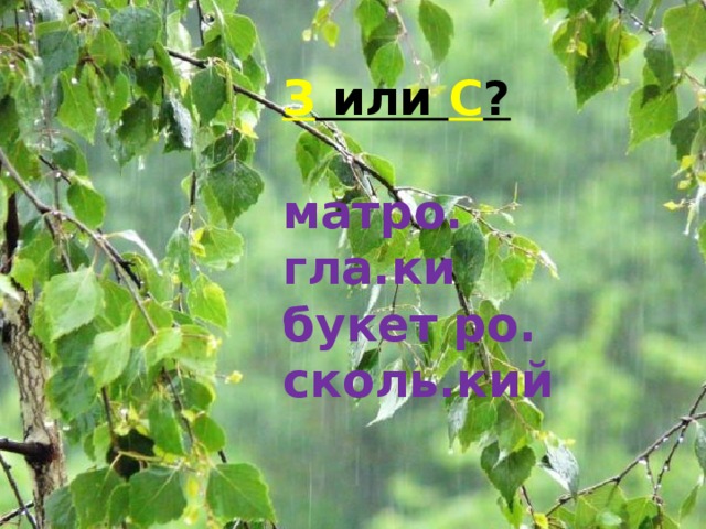 З или С ?  матро. гла.ки букет ро. сколь.кий 