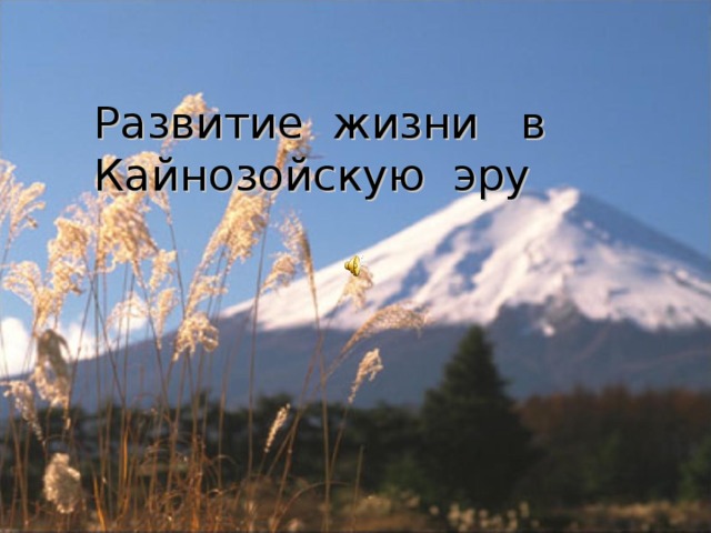  Развитие  жизни  в Кайнозойскую  эру 