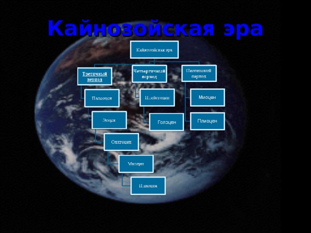 Кайнозойская эра 