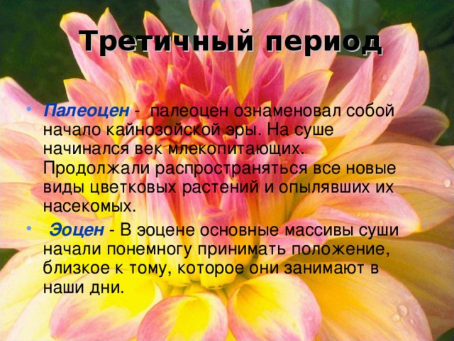 Третичный период  Палеоцен  -  палеоцен ознаменовал собой начало кайнозойской эры. На суше начинался век млекопитающих. Продолжали распространяться все новые виды цветковых растений и опылявших их насекомых.  Эоцен  - В эоцене основные массивы суши начали понемногу принимать положение, близкое к тому, которое они занимают в наши дни.  