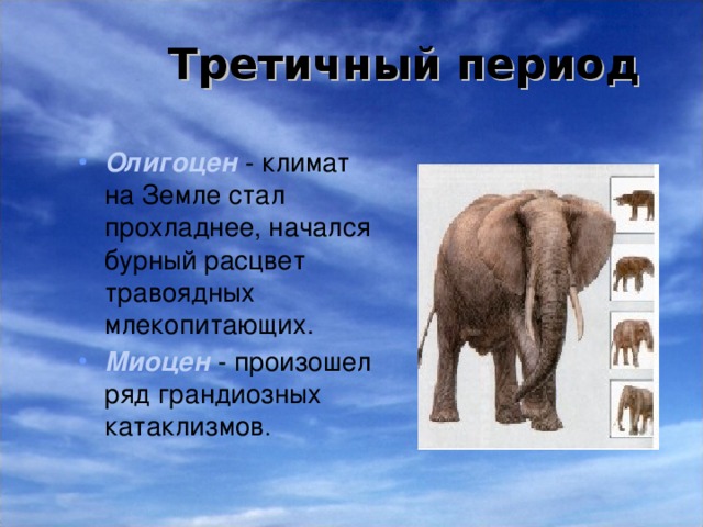 Третичный период Олигоцен  -  климат на Земле стал прохладнее, начался бурный расцвет травоядных млекопитающих. Миоцен  -  произошел ряд грандиозных катаклизмов . 