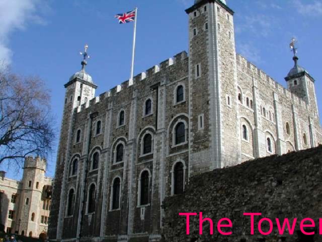 The Tower 
