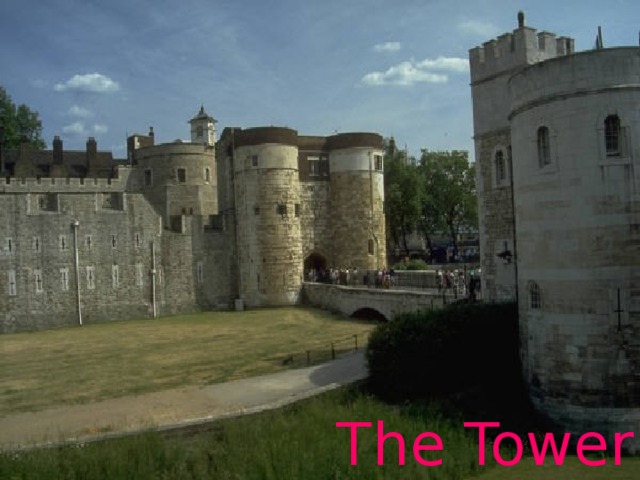 The Tower 