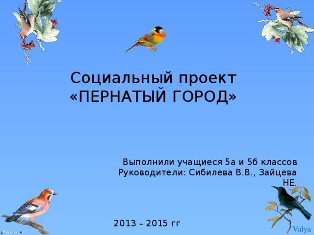 Социальный проект «ПЕРНАТЫЙ ГОРОД»   Выполнили учащиеся 5а и 5б классов Руководители: Сибилева В.В., Зайцева НЕ. 2013 – 2015 гг 