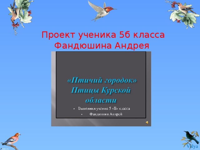 Проект ученика 5б класса Фандюшина Андрея 