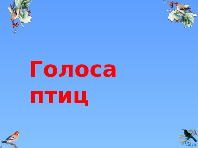 Голоса птиц 