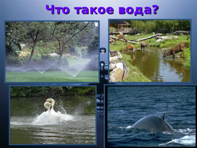 Что такое вода?