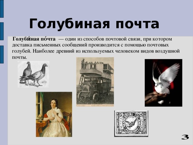 Почтовые голуби презентация