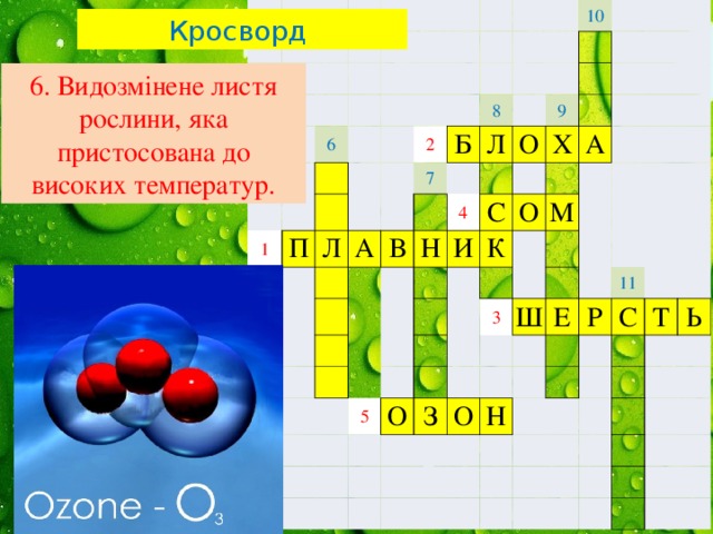 6 1 п 2 л 7 б 10 8 а в л о 4 9 н с х и а о к м 5 3 о ш з е о 11 р н с т ь Кросворд 6. Видозмінене листя рослини, яка пристосована до високих температур. 