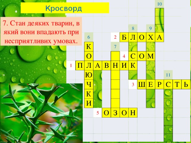 6 К 1 О п Л 2 б 7 а 10 Ю 8 л в Ч о 4 9 н К с и х И а о к м 5 3 о ш з е о 11 р н с т ь Кросворд 7. Стан деяких тварин, в який вони впадають при несприятливих умовах. 