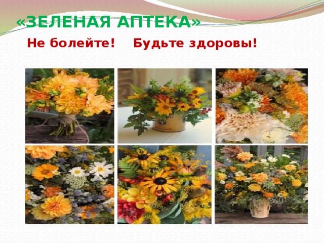 «ЗЕЛЕНАЯ АПТЕКА»   Не болейте! Будьте здоровы!   