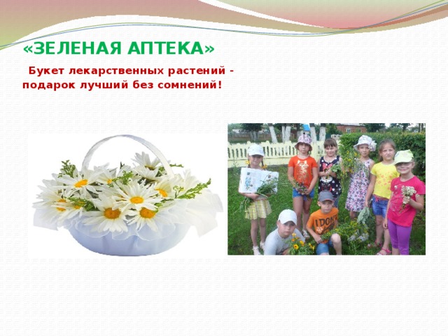 «ЗЕЛЕНАЯ АПТЕКА»   Букет лекарственных растений -  подарок лучший без сомнений! 