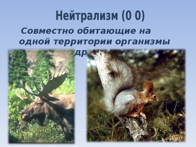  Совместно обитающие на одной территории организмы не влияют друг на друга 